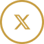 X (Twitter)